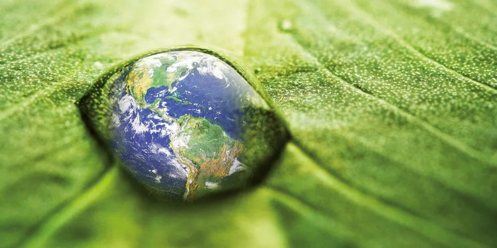 REACH: Chemikalienregulierung zum Schutz von Mensch & Umwelt